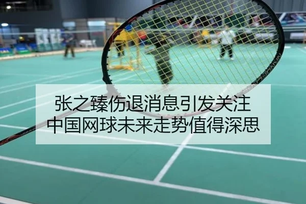张之臻伤退消息引发关注 中国网球未来走势值得深思