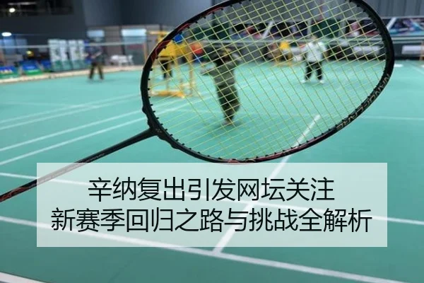 辛纳复出引发网坛关注 新赛季回归之路与挑战全解析