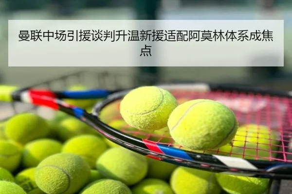 曼联中场引援谈判升温新援适配阿莫林体系成焦点
