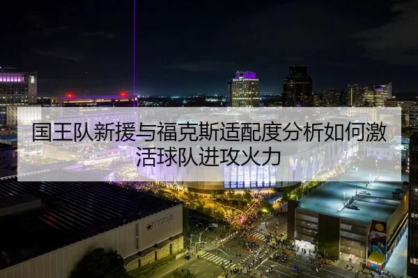 国王队新援与福克斯适配度分析如何激活球队进攻火力